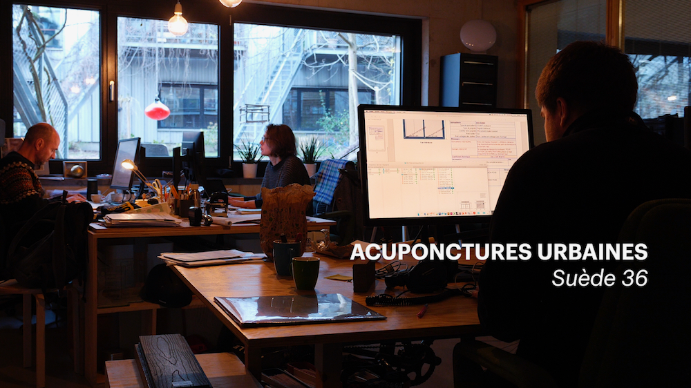 Acuponctures urbaines suède 36